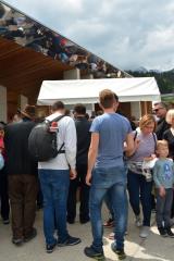 1- festival makaronflajša in tife 2019 - 11.5 (56)